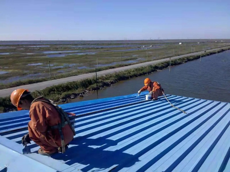 内黄钢结构屋面漏水原因